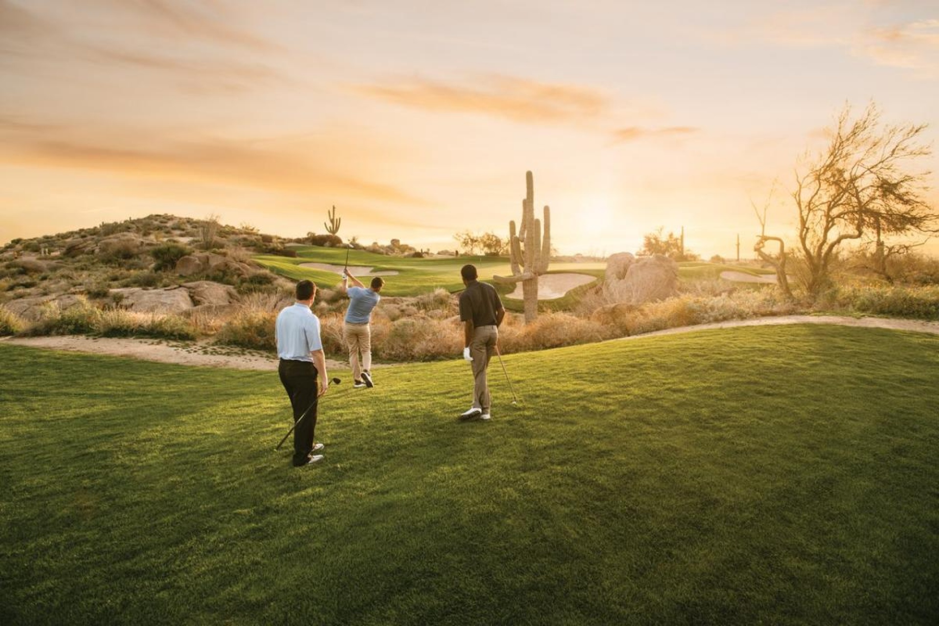 Experience Scottsdale