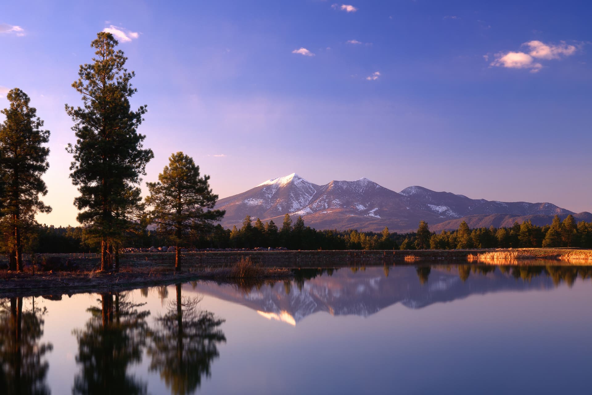 Discover Flagstaff