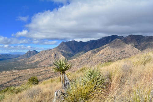 Score Big in Sierra Vista