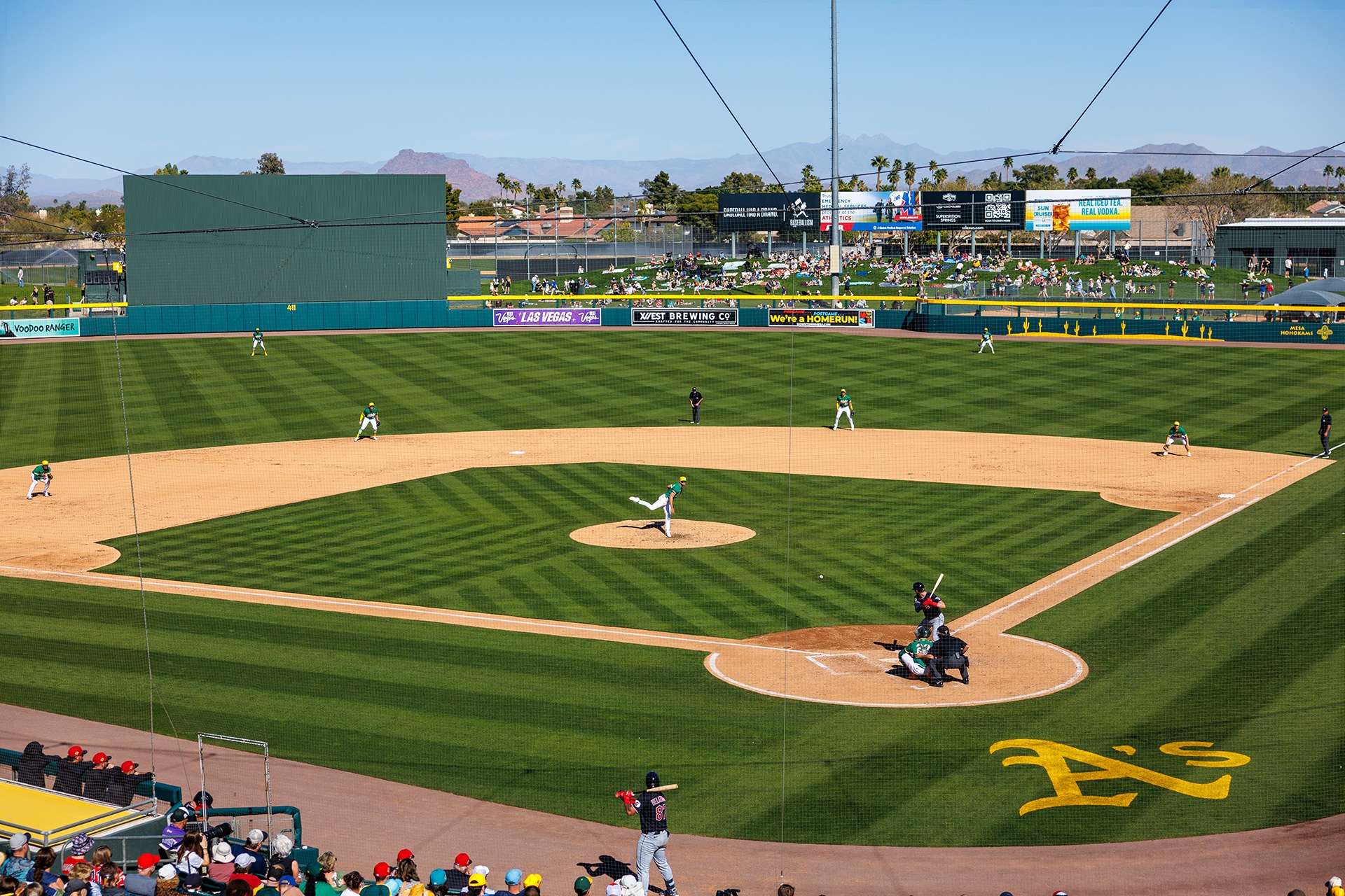 Spring Training Primer