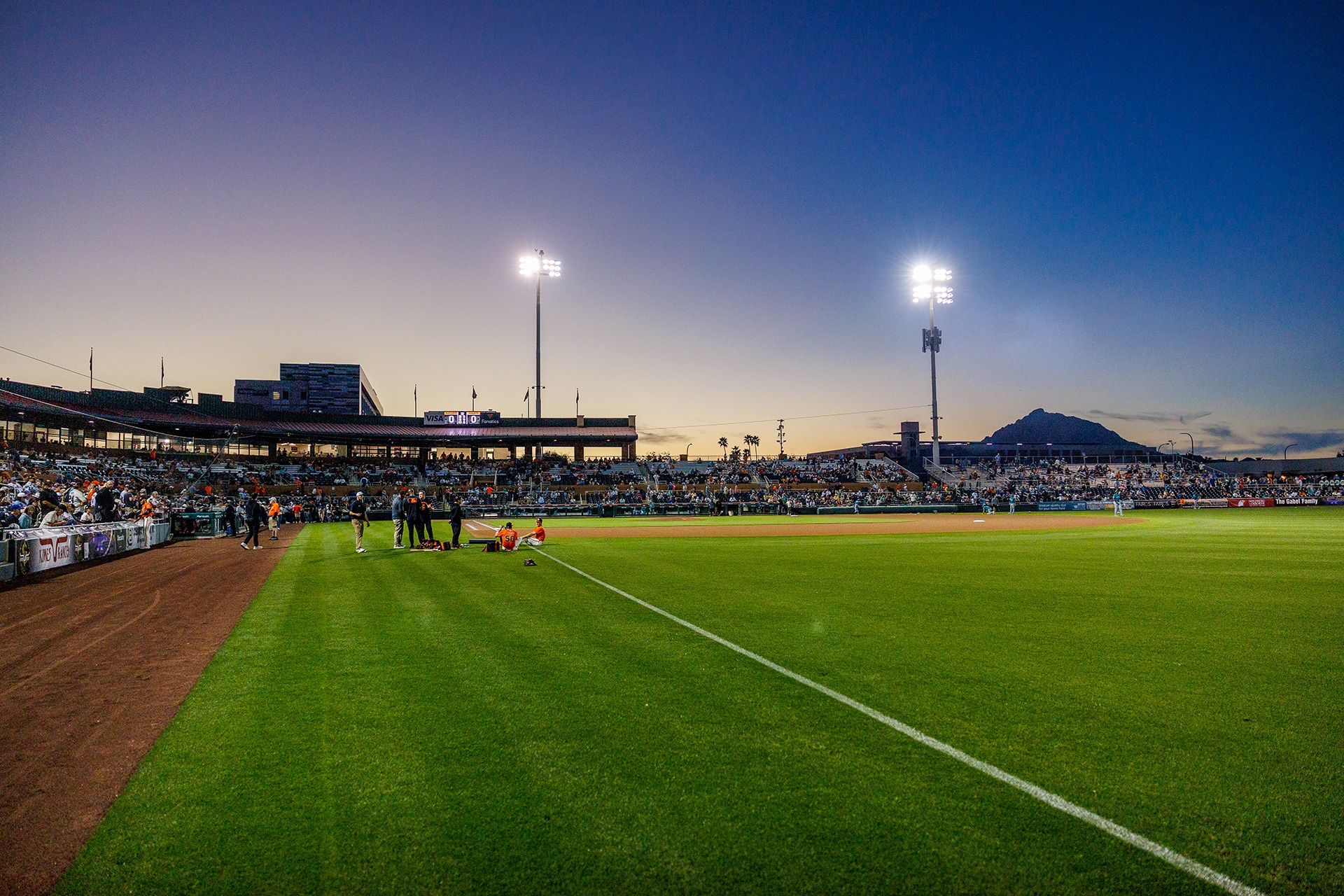 Spring Training Primer