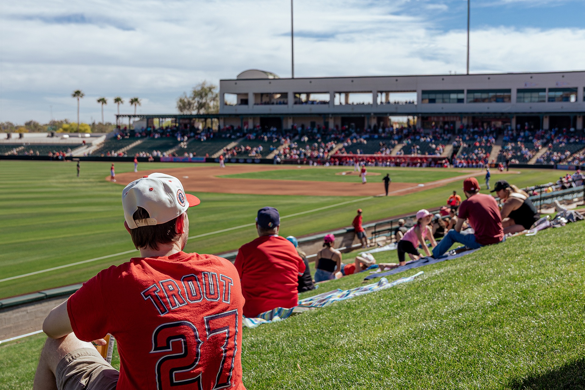 Spring Training Primer